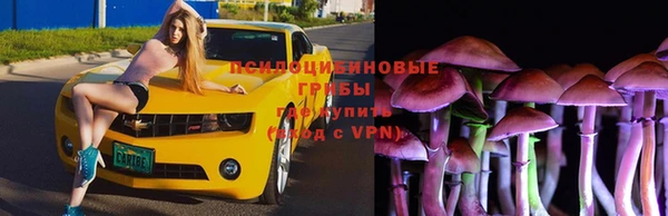 спиды Дмитриев