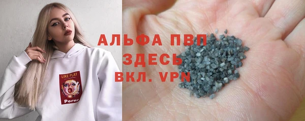 спиды Дмитриев