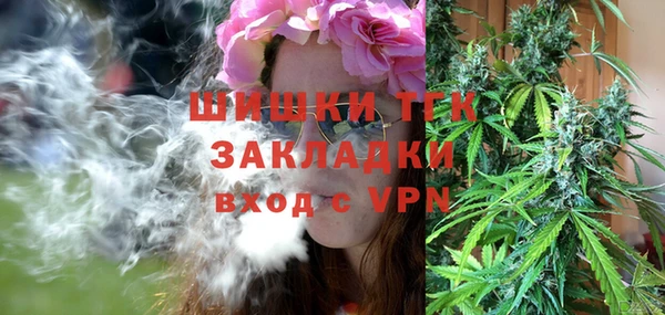 спиды Дмитриев