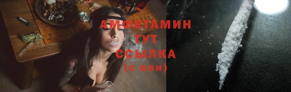 спиды Дмитриев