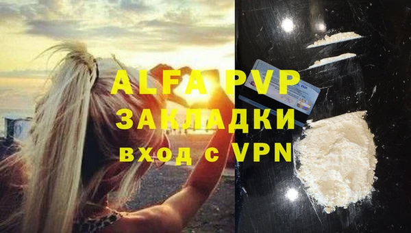 спиды Дмитриев