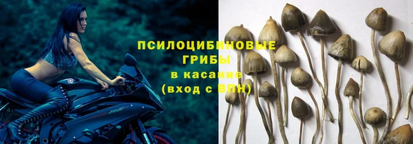 спиды Дмитриев