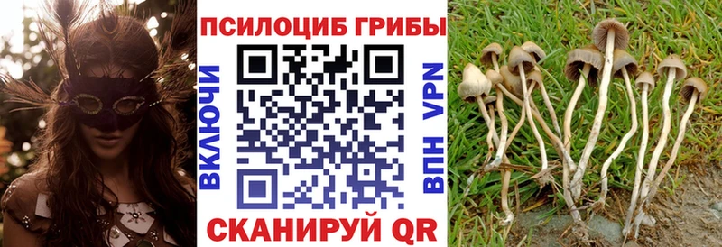купить наркотики цена  Домодедово  Галлюциногенные грибы прущие грибы 